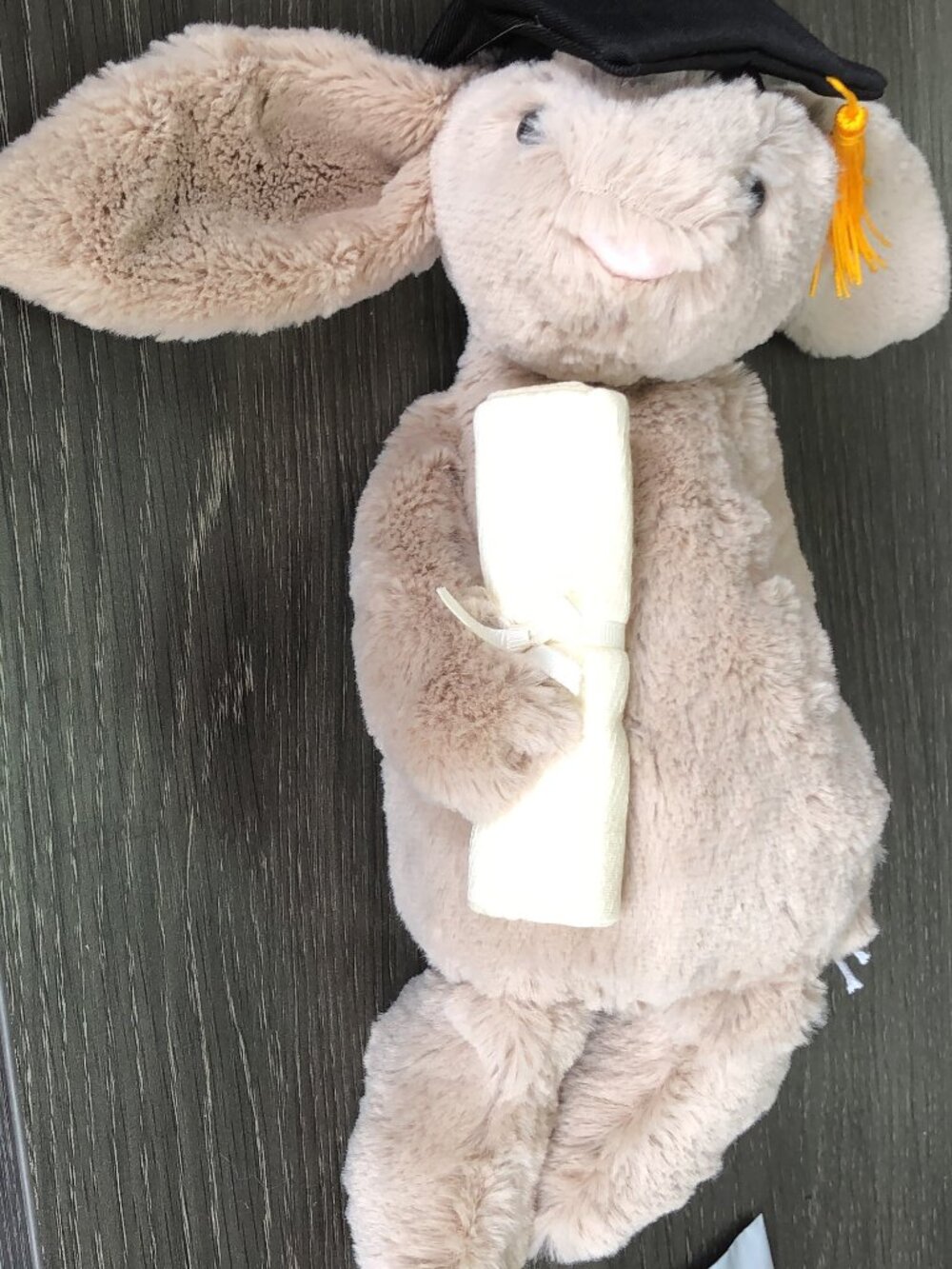 Jellycat Bashful Bunny Graduation - BNWT - Picture 2 of 8